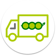 グリーンビーンズ